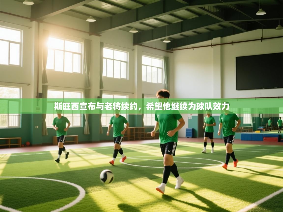 开云入口-斯旺西宣布与老将续约，希望他继续为球队效力  第4张