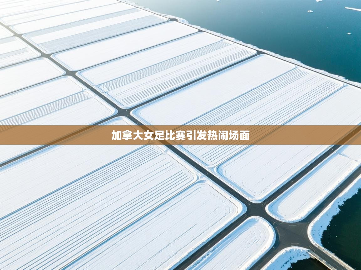 开云体育入口下载-加拿大女足比赛引发热闹场面  第2张