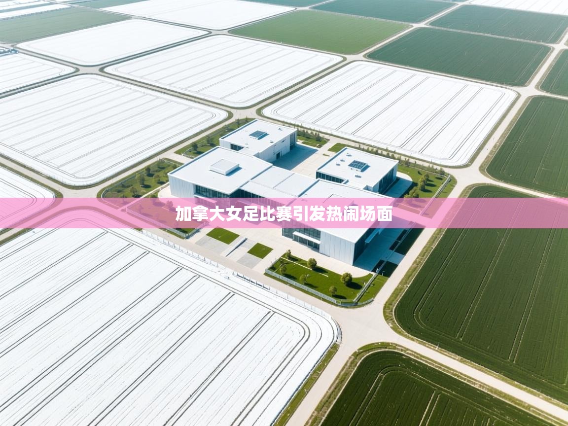 开云体育入口下载-加拿大女足比赛引发热闹场面  第1张