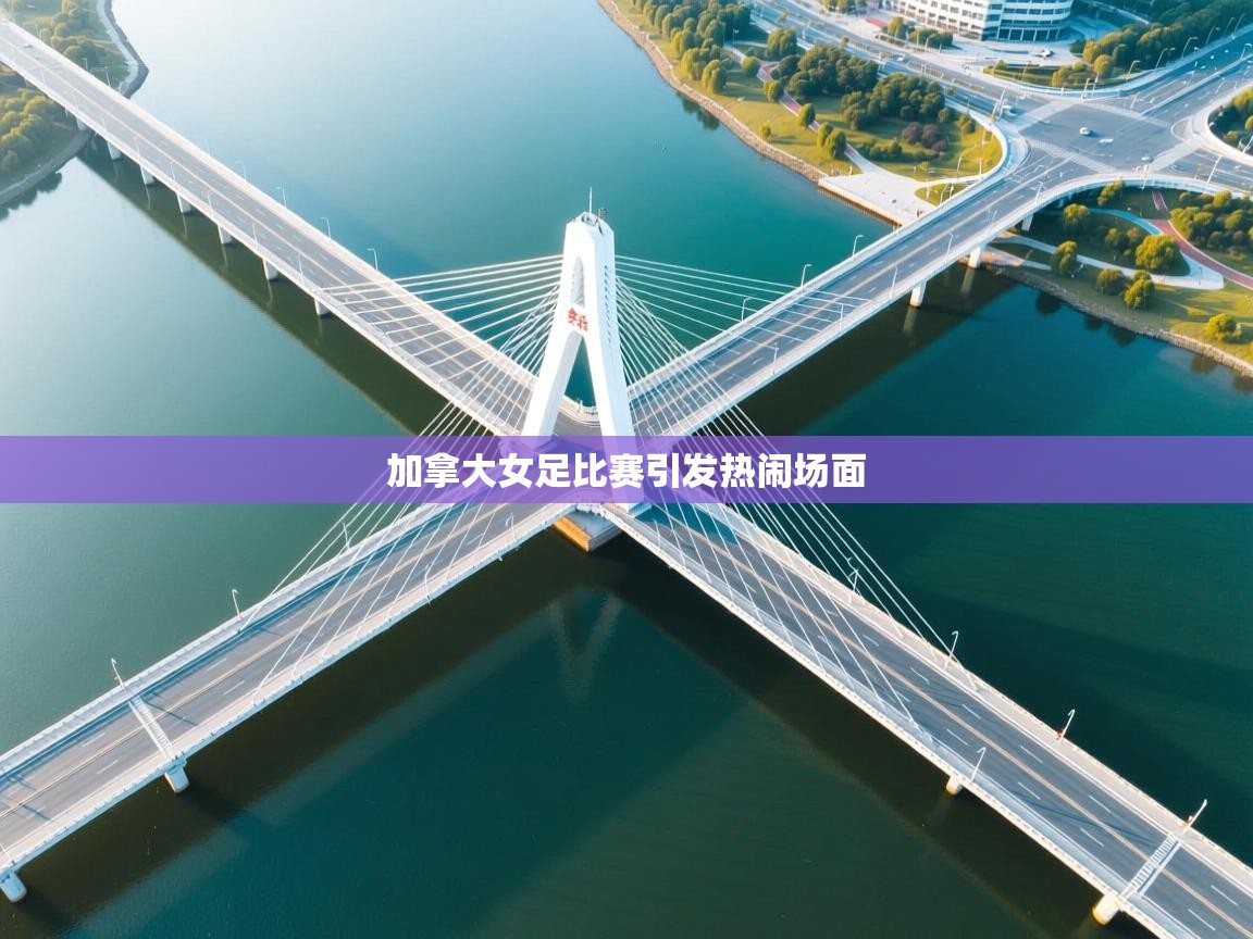 开云体育入口下载-加拿大女足比赛引发热闹场面  第3张