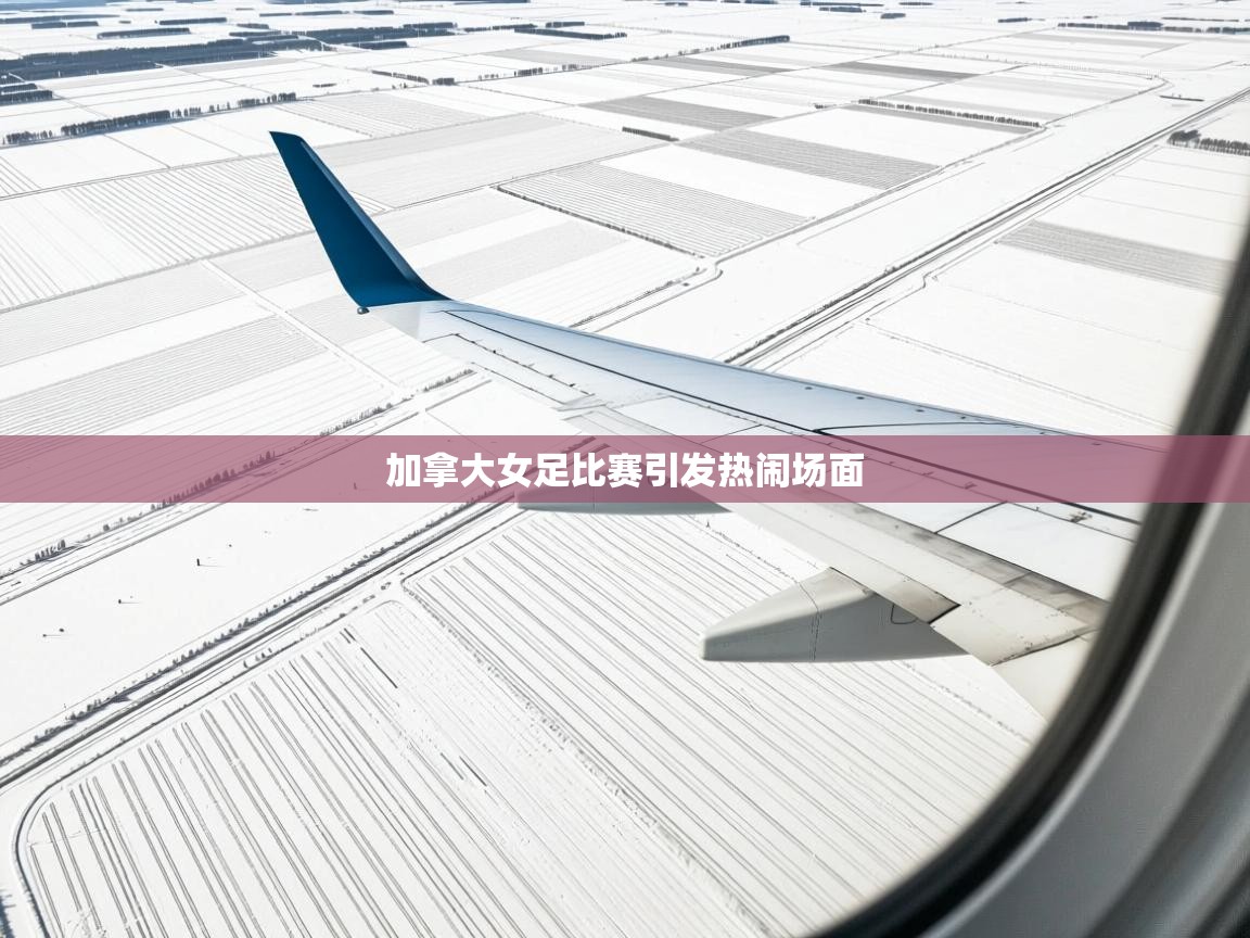 开云体育入口下载-加拿大女足比赛引发热闹场面  第4张