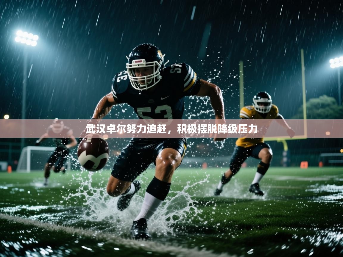 开云体育在线登入-武汉卓尔努力追赶，积极摆脱降级压力  第2张