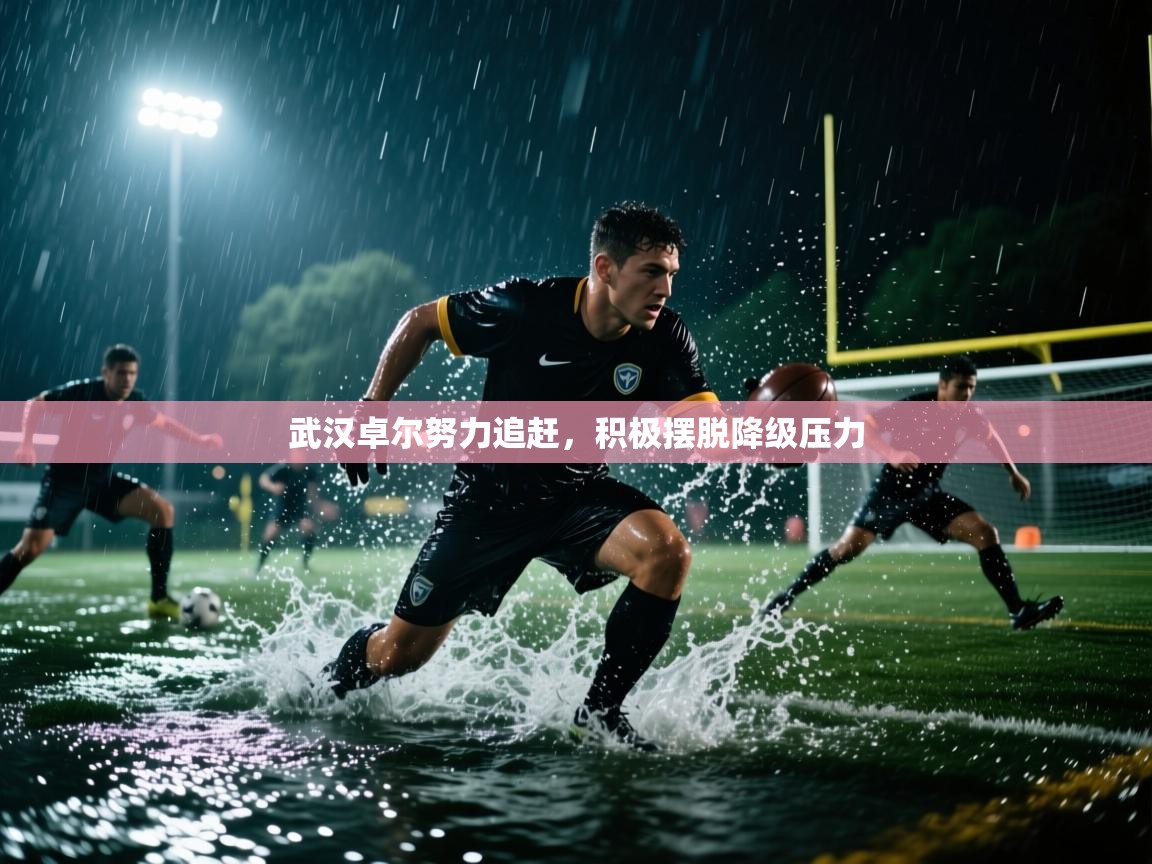 开云体育在线登入-武汉卓尔努力追赶，积极摆脱降级压力  第3张