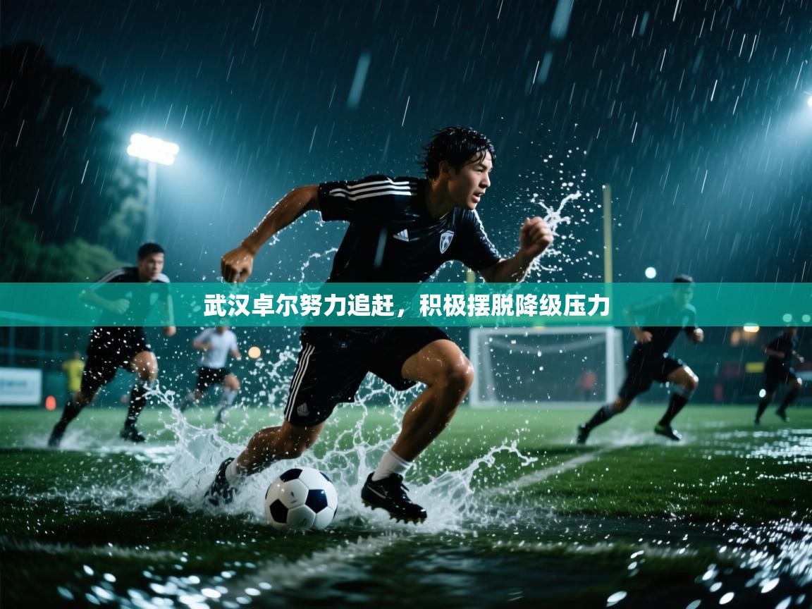 开云体育在线登入-武汉卓尔努力追赶，积极摆脱降级压力  第4张